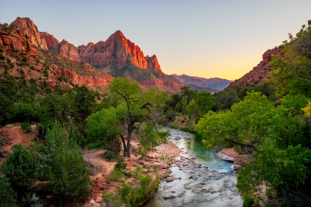 River in Zion National Park